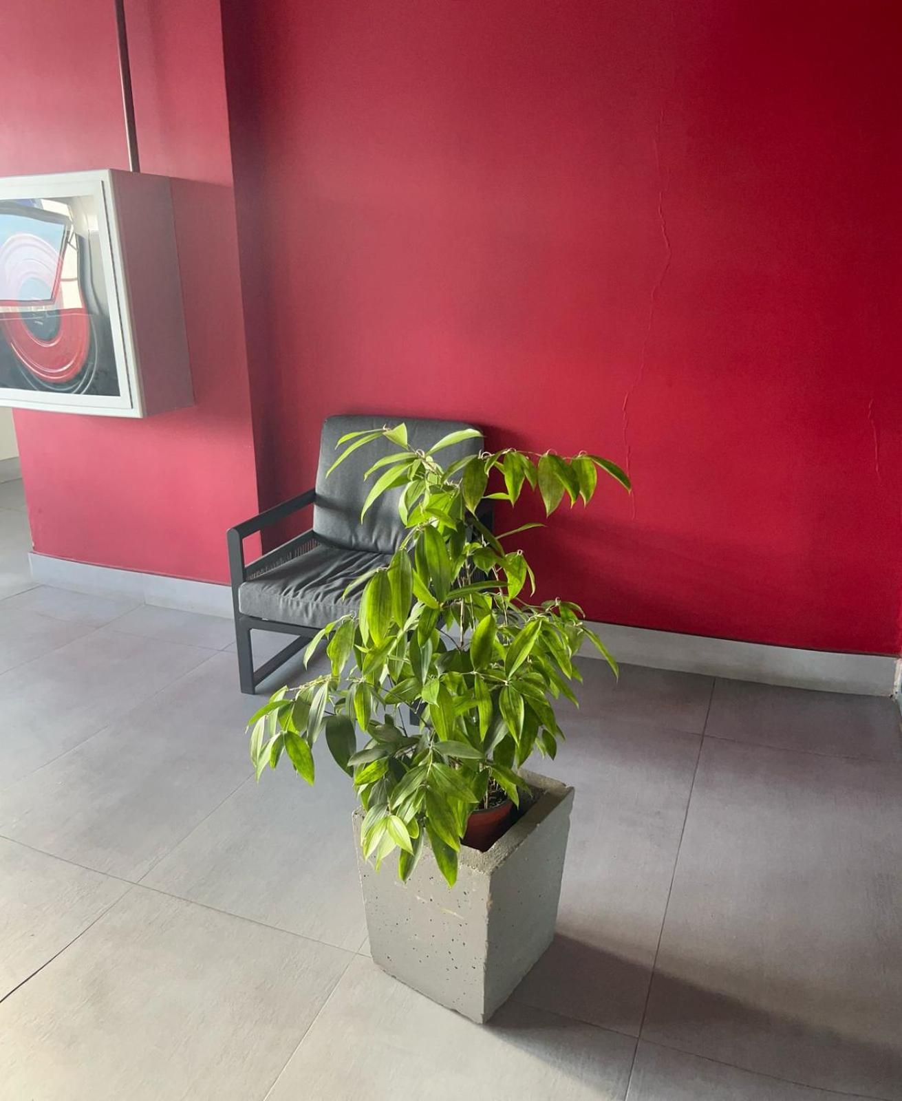 Luxury Suite Kingston City View Extérieur photo