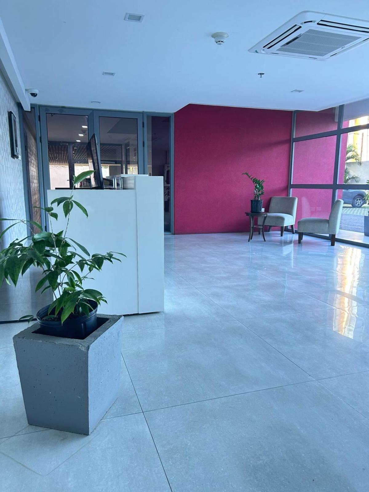 Luxury Suite Kingston City View Extérieur photo